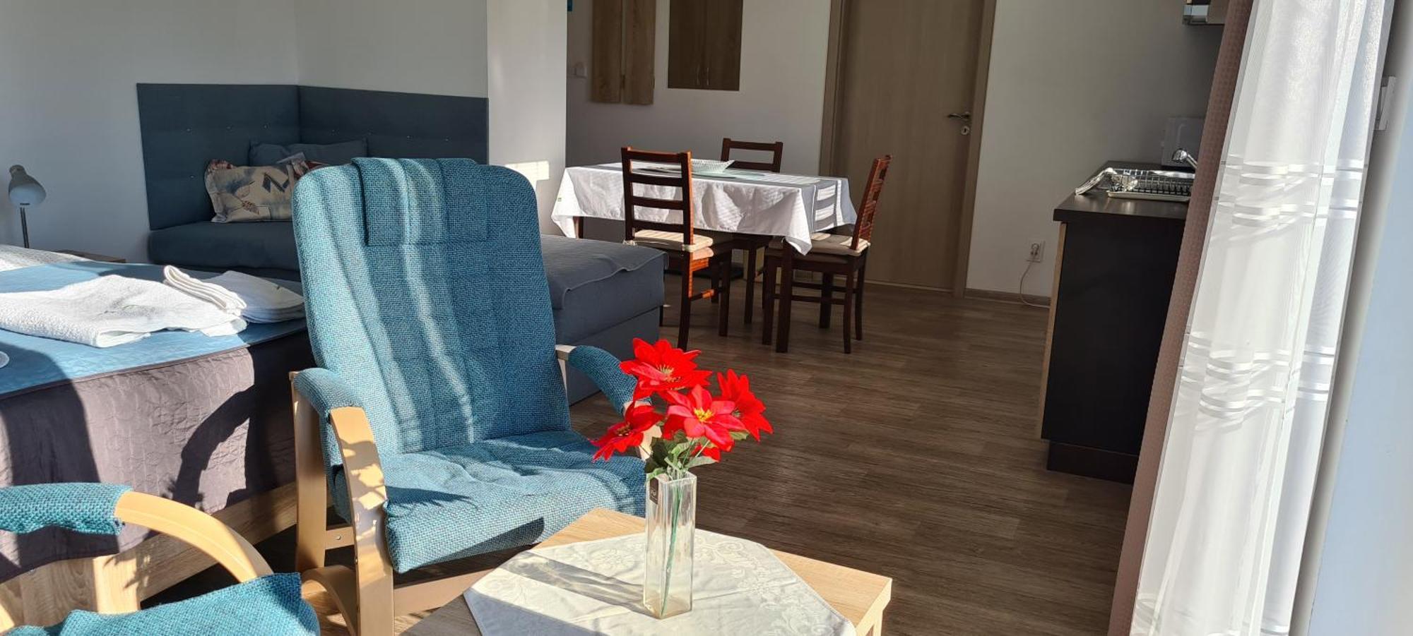 Apartman U Toma Фридлант-над-Остравіці Екстер'єр фото