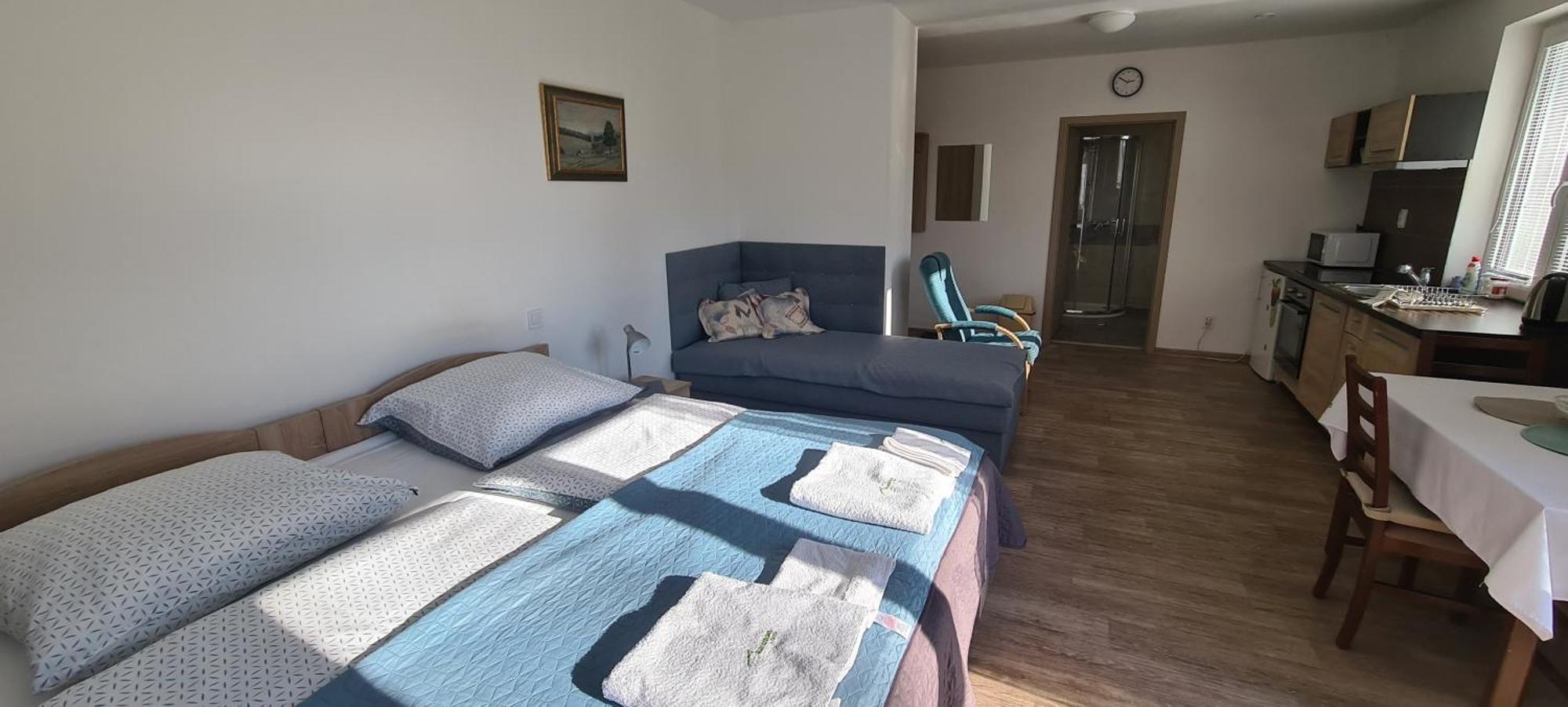 Apartman U Toma Фридлант-над-Остравіці Екстер'єр фото