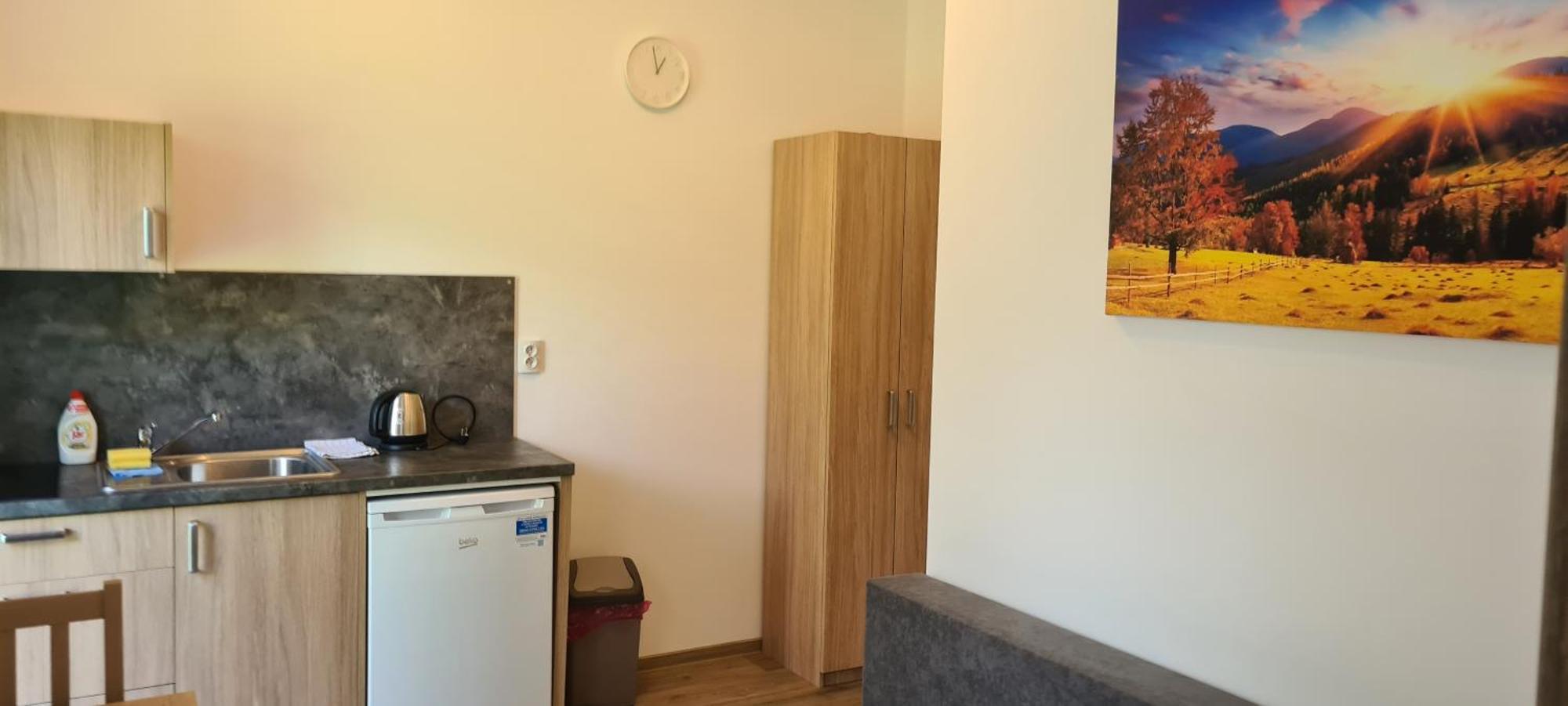 Apartman U Toma Фридлант-над-Остравіці Екстер'єр фото